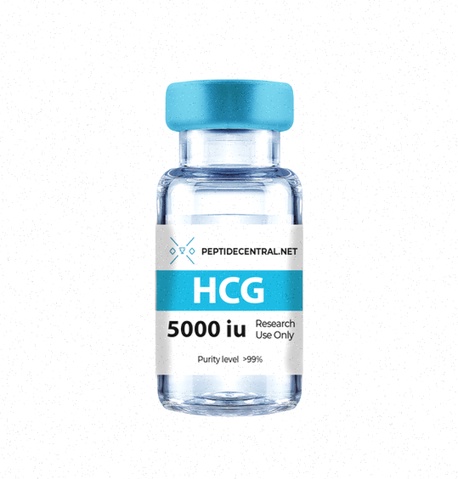 hcg